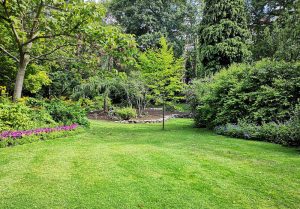 Optimiser l'expérience du jardin à Le Mesnil-Villement